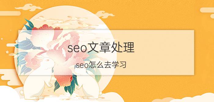 seo文章处理 seo怎么去学习？